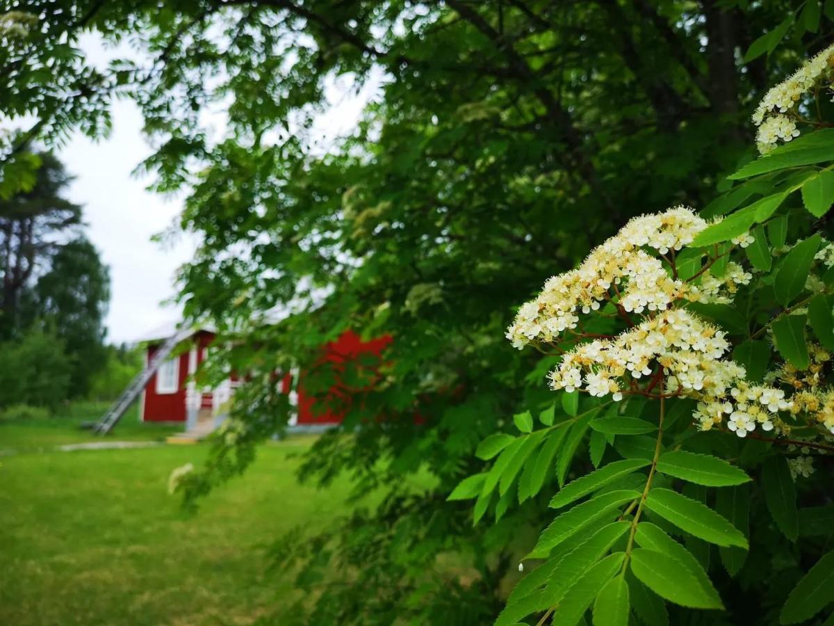 Raate Guest House Suomussalmi Εξωτερικό φωτογραφία